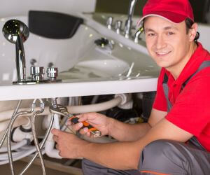 About Septic Pumping Service Dansville, MI